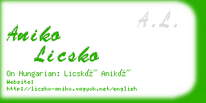 aniko licsko business card